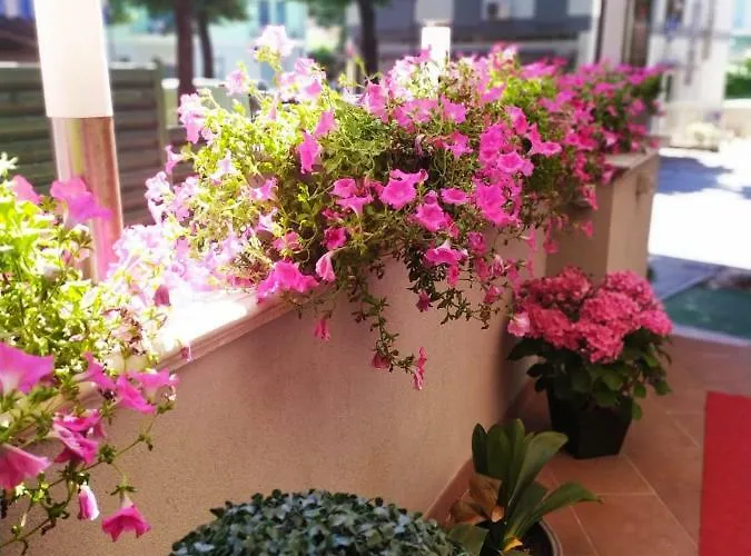 Etoile 3* רימיני